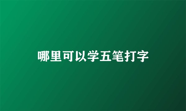 哪里可以学五笔打字