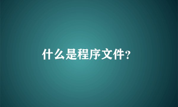 什么是程序文件？