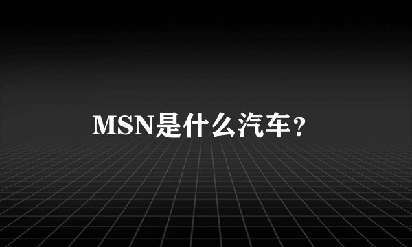 MSN是什么汽车？