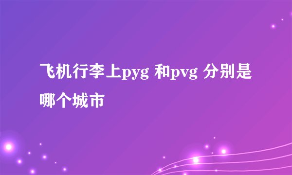 飞机行李上pyg 和pvg 分别是哪个城市