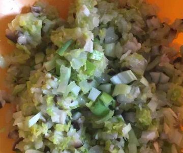 白菜素馅的饺子怎么做