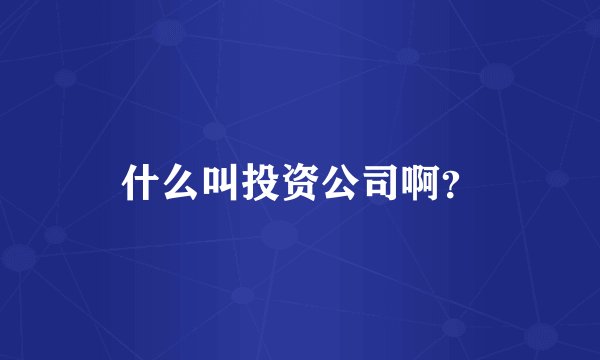 什么叫投资公司啊？