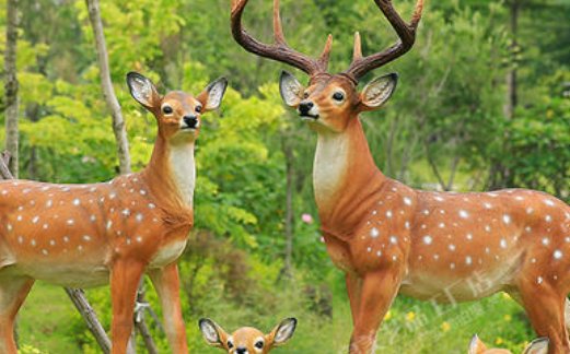 梅花鹿代表什么象征意义