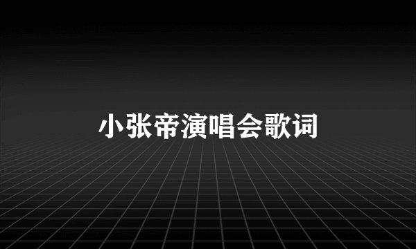 小张帝演唱会歌词