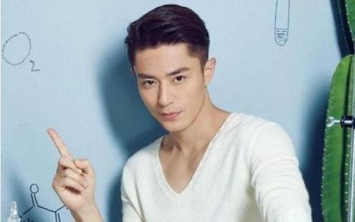 霍建华在《怪侠一枝梅》中的表现如何？