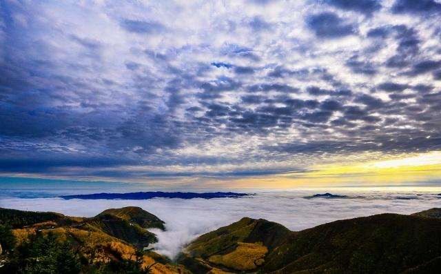 宁夏六盘山拍到金钱豹，金钱豹很少见吗，是稀有动物吗？