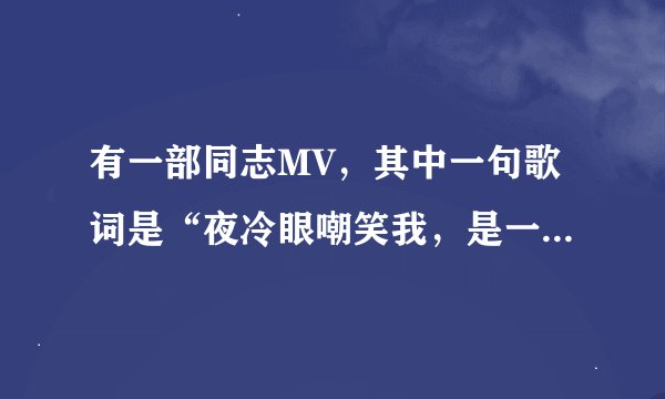 有一部同志MV，其中一句歌词是“夜冷眼嘲笑我，是一个孤独患者”