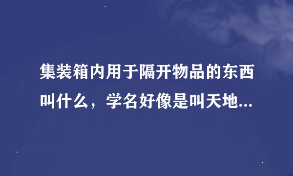 集装箱内用于隔开物品的东西叫什么，学名好像是叫天地袋，什么样子的