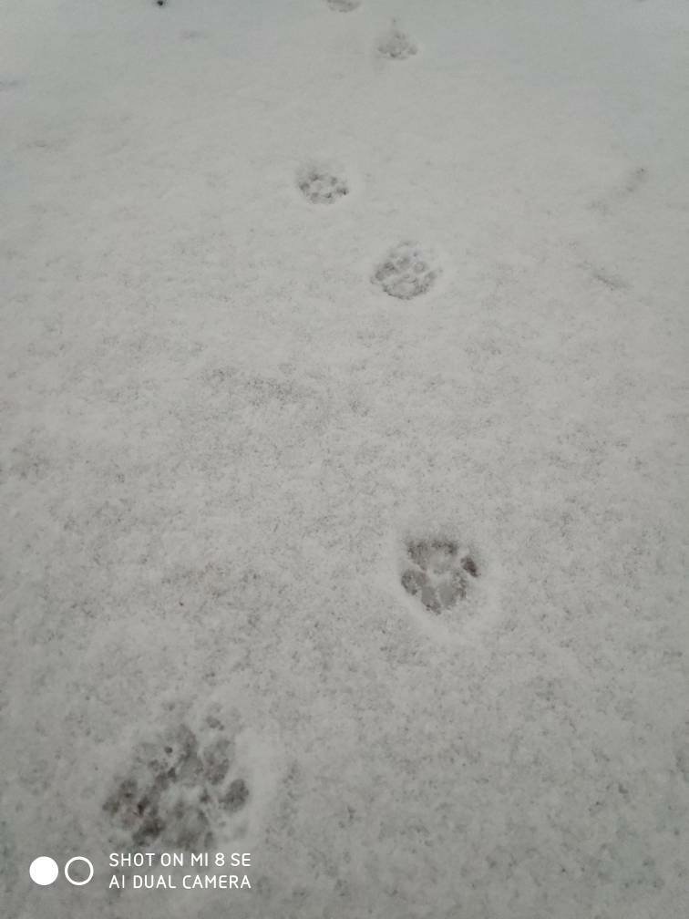 吉弗雷货号81621080价格