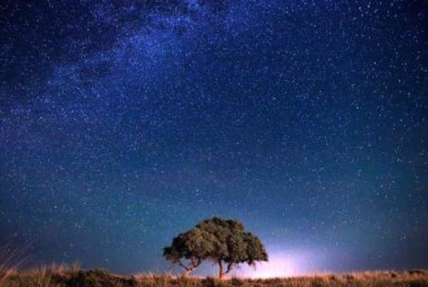 我喜欢夏天的夜晚写一段话120字?