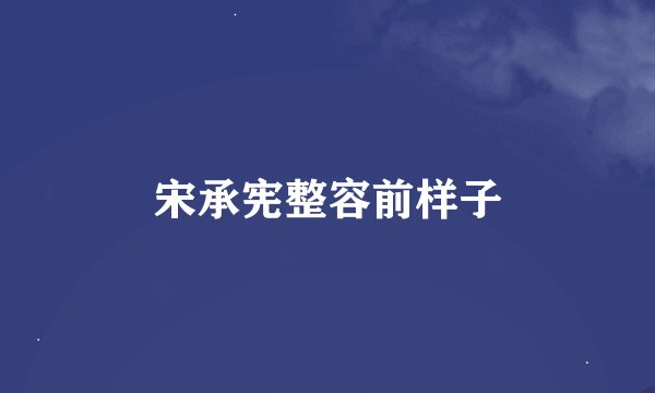 宋承宪整容前样子