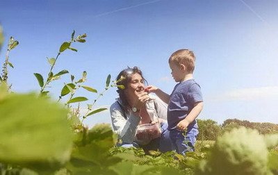 鹰式教育是什么样的?父母该不该对孩子用鹰式教育?