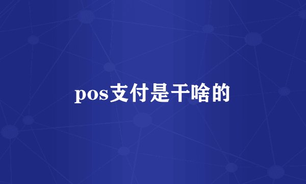 pos支付是干啥的
