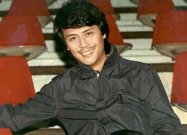 夜隼电视剧全集剧情