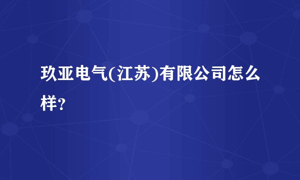 玖亚电气(江苏)有限公司怎么样？