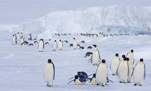 南的组词有哪些