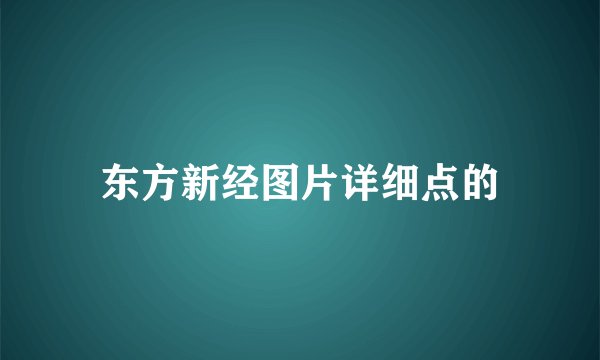 东方新经图片详细点的