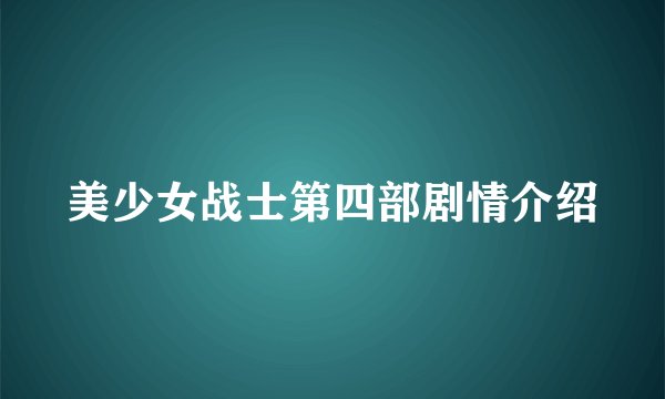 美少女战士第四部剧情介绍