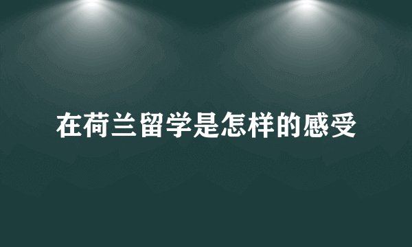 在荷兰留学是怎样的感受