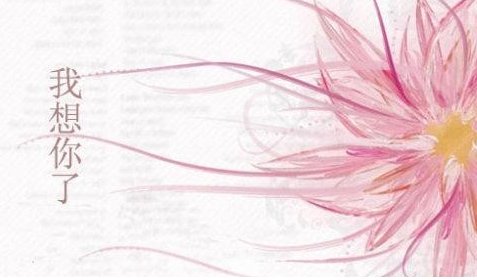 431是什么意思？