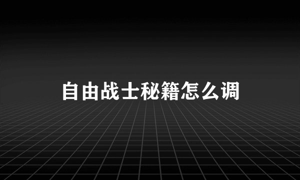 自由战士秘籍怎么调