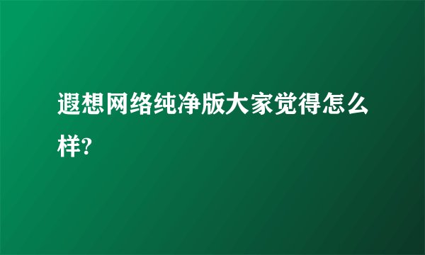 遐想网络纯净版大家觉得怎么样?