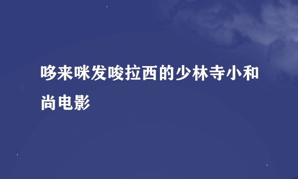 哆来咪发唆拉西的少林寺小和尚电影