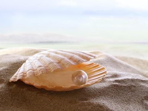 珍珠的成分是什么，在醋中放多久会溶解？