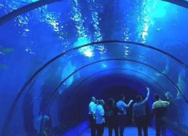 福建一鲨鱼馆发生致人死亡事故，谁应该为这次事故负责？