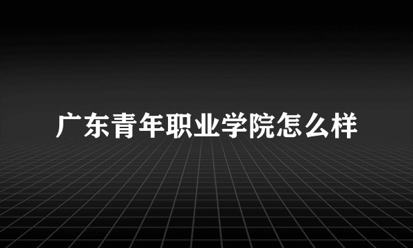 广东青年职业学院怎么样