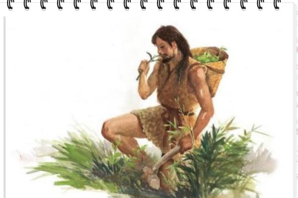 神农是什么意思