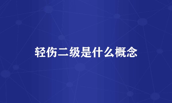 轻伤二级是什么概念