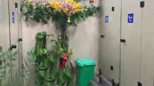 六旬大爷将街头公厕布置成“KTV”引发关注,网友对此有何评价?