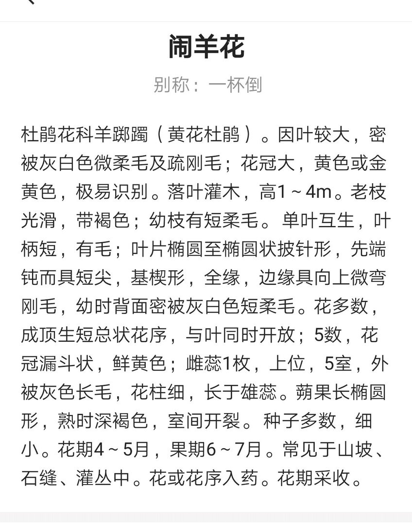 如何鉴别闹洋花？