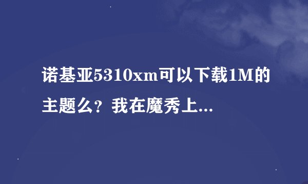 诺基亚5310xm可以下载1M的主题么？我在魔秀上做了一个1.24M的主题，为什么不能用，？