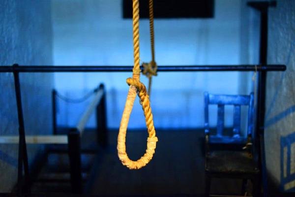 大连理工研究生自杀事件，遗书中称自己要变成一只猫，背后有什么隐情？