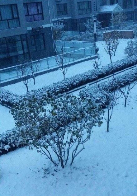 初雪变暴雪，为什么北京今年初雪来得早且下得大？