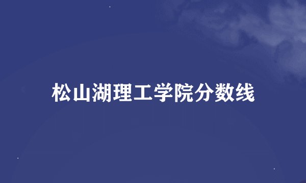 松山湖理工学院分数线