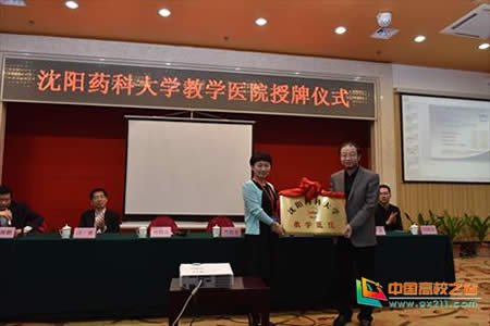 梁宁的人物简介