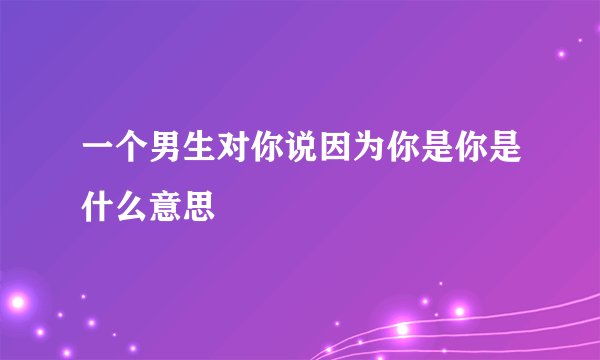 一个男生对你说因为你是你是什么意思