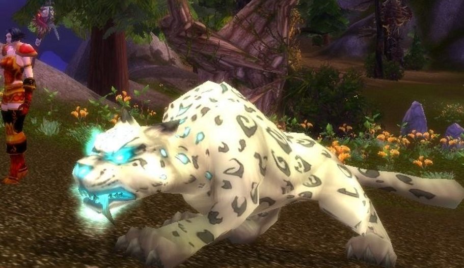 wow灵魂兽一共有4种，狼，熊，2个豹各叫什么