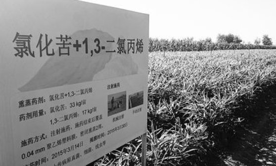 氯化苦的性质和危害！