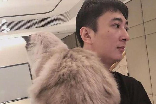 雪梨与王思聪分手的原因是什么？