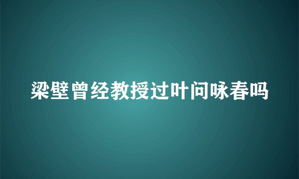 梁壁曾经教授过叶问咏春吗