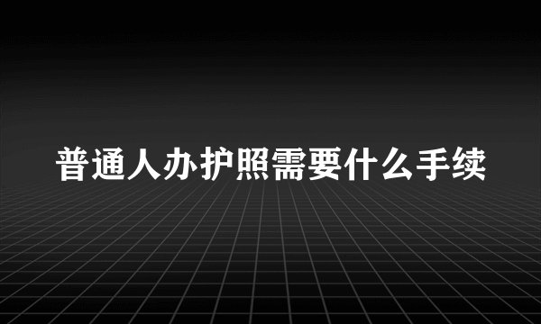普通人办护照需要什么手续
