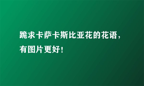 跪求卡萨卡斯比亚花的花语，有图片更好！