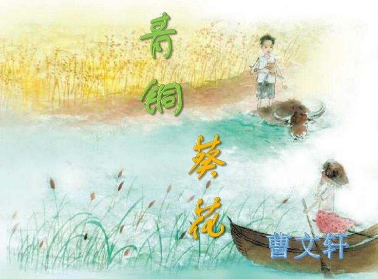 《青铜葵花》的主要内容。不超过100字