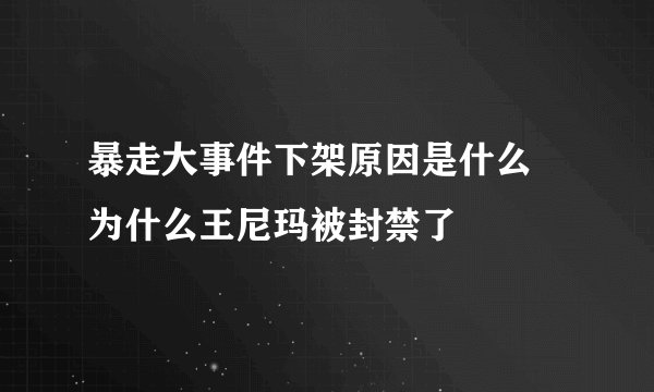 暴走大事件下架原因是什么 为什么王尼玛被封禁了