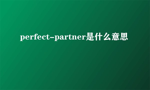 perfect-partner是什么意思