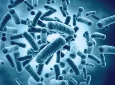 条件性致病菌有哪些